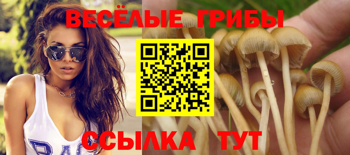 Серов  Псилоцибиновые грибы прущие грибы  Псилоцибиновые грибы мухоморы  Вход с VPN 